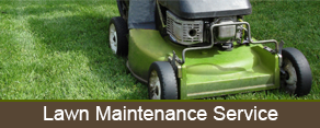 Mower - Landscaping Company